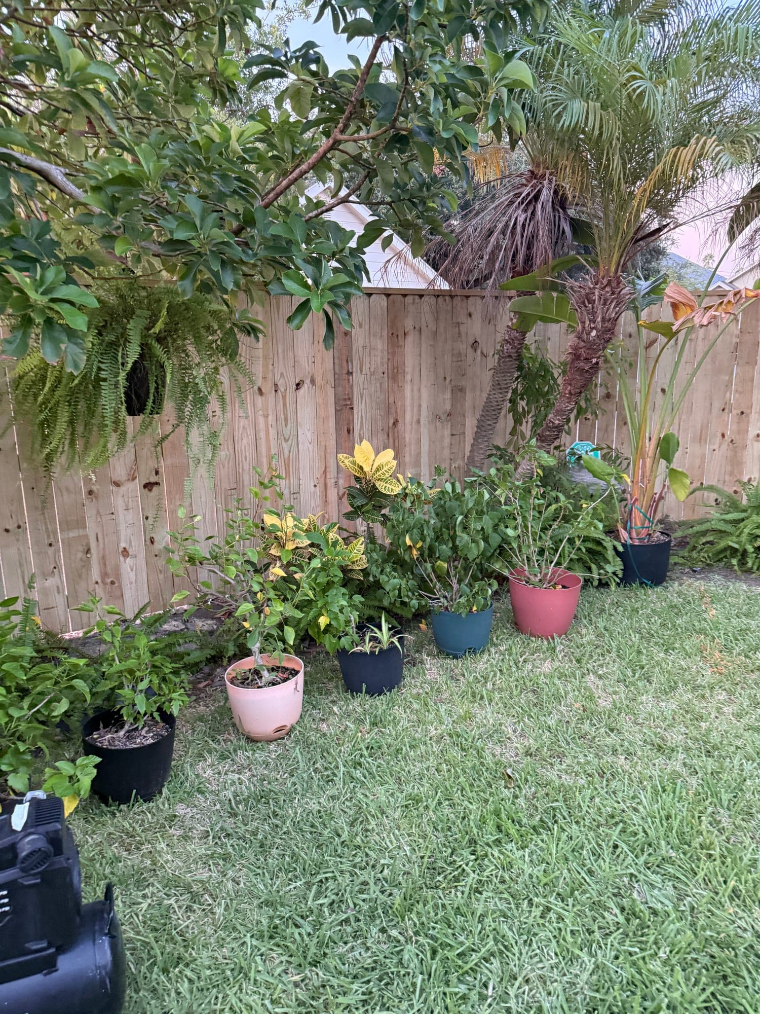 IMG 1840 — Frontier Fence & Gate project in South Texas