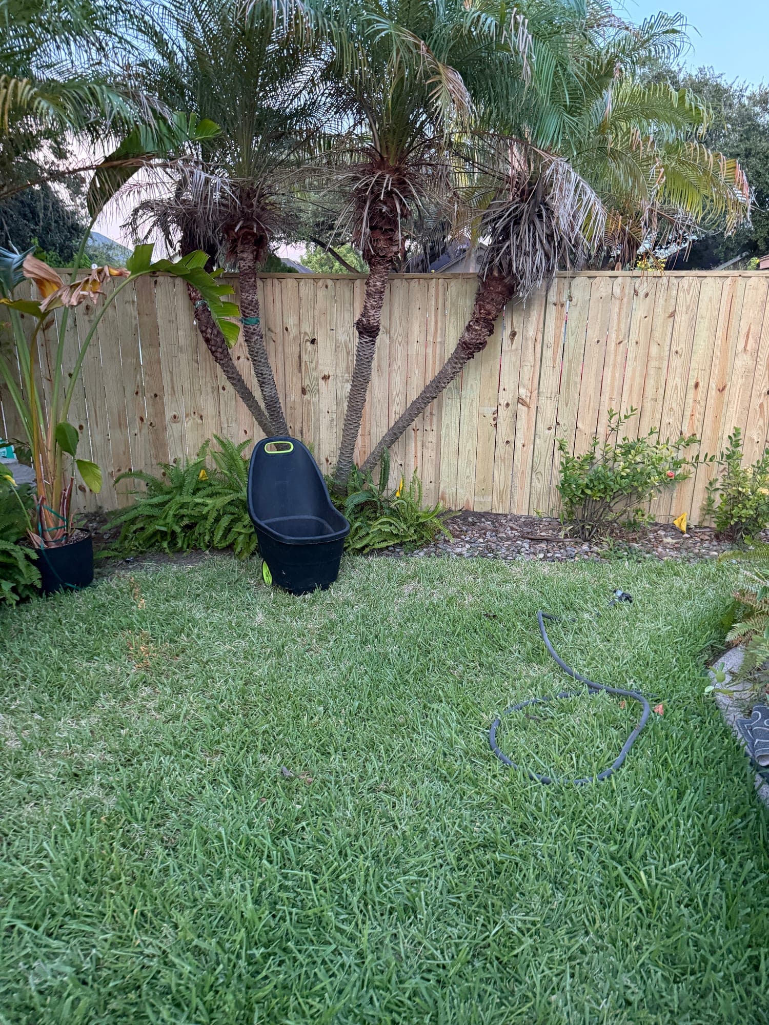 IMG 1841 — Frontier Fence & Gate project in South Texas